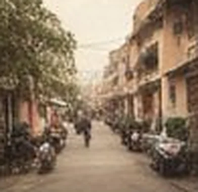 Tree-lined street with scooters and older apartment blocks