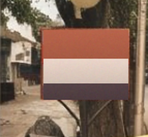Signboard fixed to a tree at a roadside corner